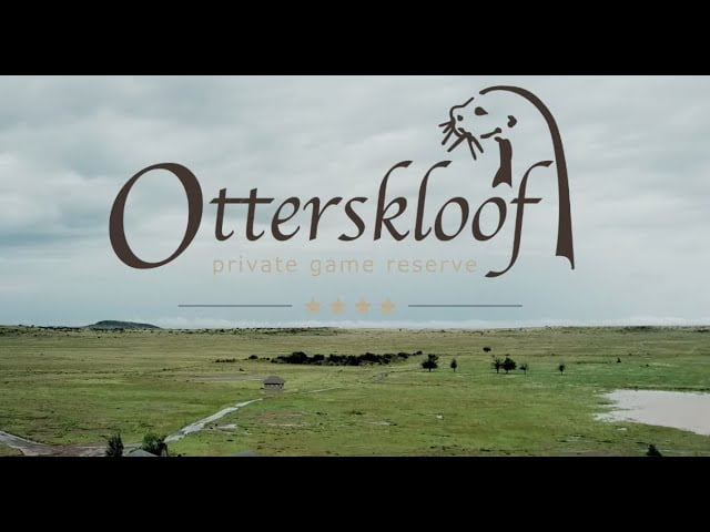 Otterskloof 2021 -After the Rains