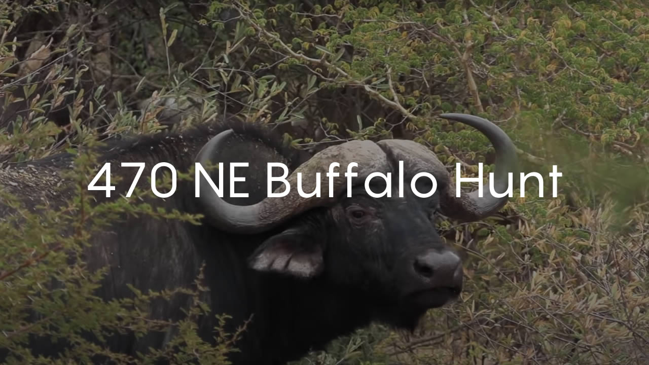 470 NE Buffalo Hunt